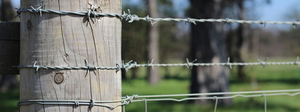 Barbed Wire Wholesalers
